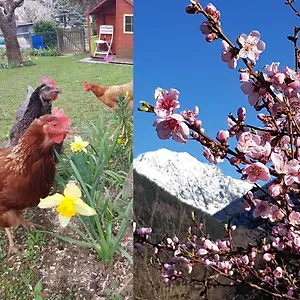  Appartement Detente Nature Rando, , Thermes